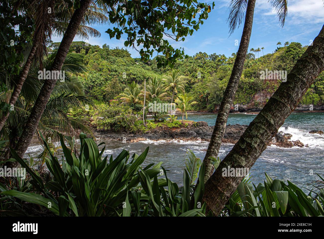 Vom Aussichtspunkt des Hilo Tropical Garden in Hawaii entfaltet sich der Panoramablick majestätisch über die zerklüftete Küste Stockfoto