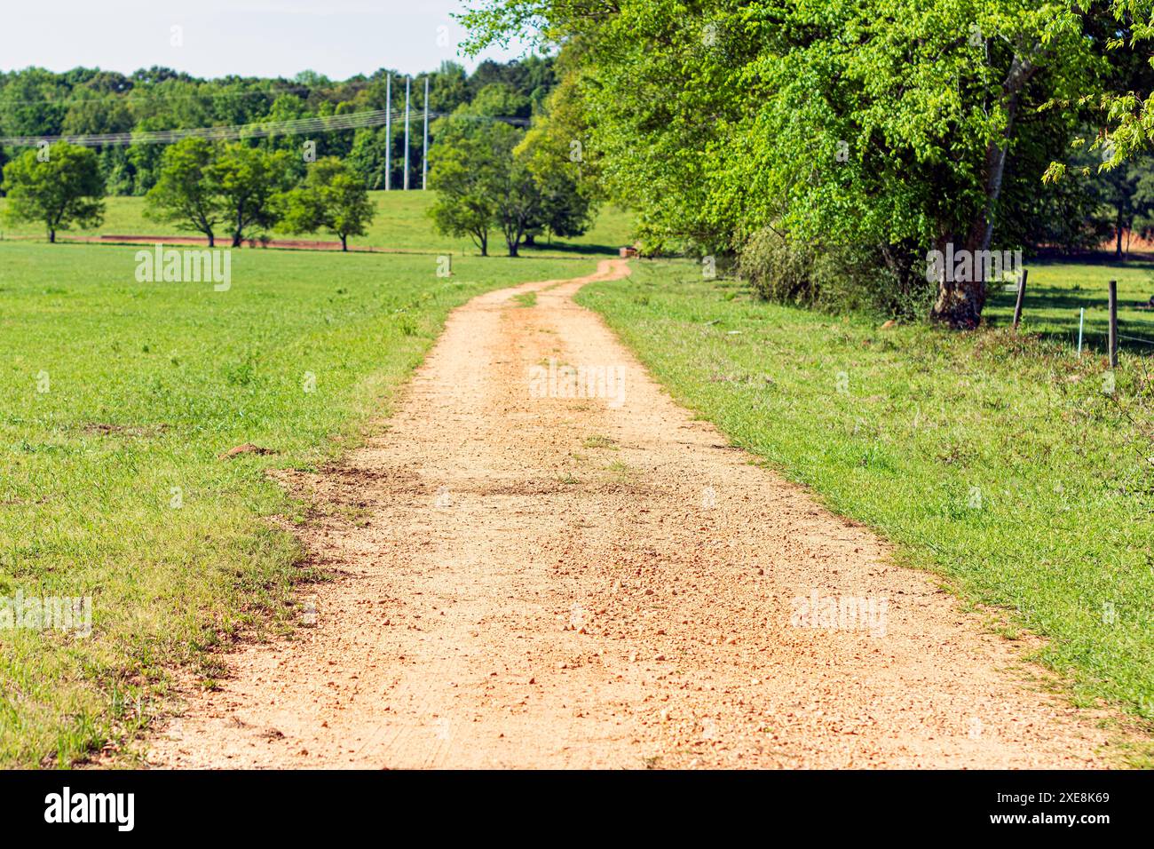 Rote Schotterstraße durch eine grüne Weide im April im Zentrum von Alabama. Stockfoto