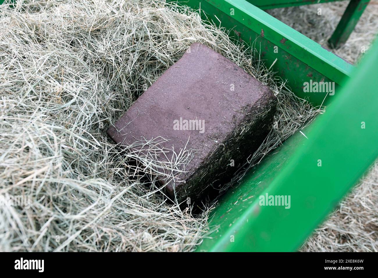 Spuren von mineralisiertem Salzblock in einem Heufutter für Nutztiere. Stockfoto