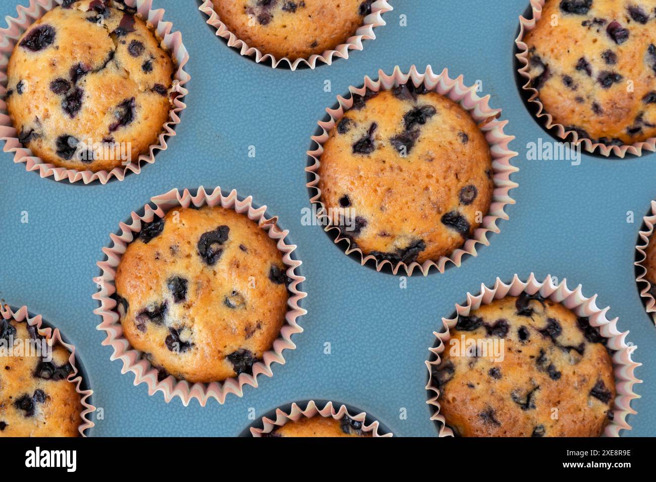 Frisch gebackene Heidelbeermuffins. Leckerer süßer Cupcake, von oben, flach gelegen. Hausgemachtes Gebäck. Beerenkuchen in Silikon-Muffindose. Stockfoto