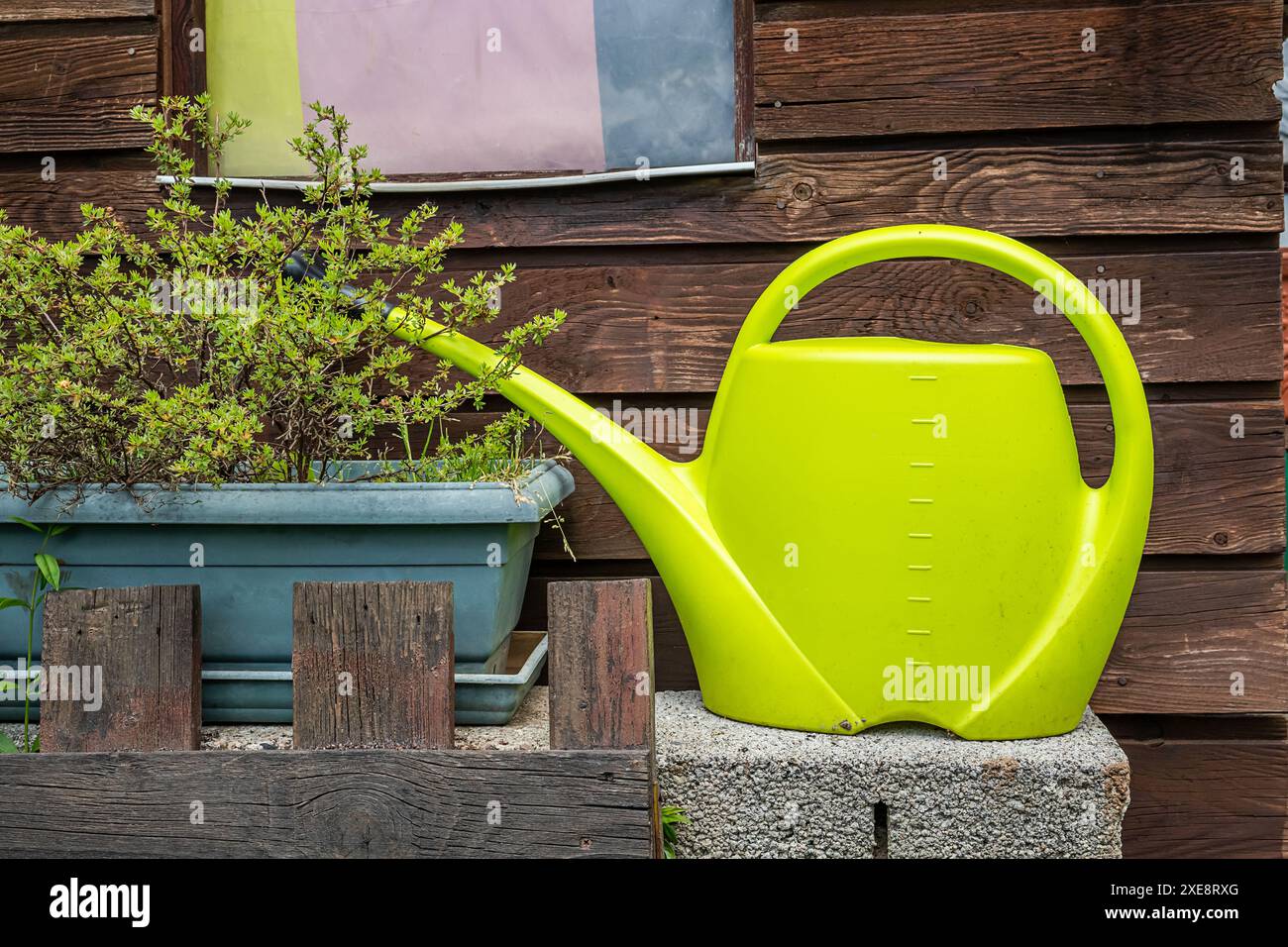 Grüne Gießkanne neben Blumentopf gegen verwitterte Holzwand, Cottage Core Ästhetik und Freizeitkonzept Stockfoto