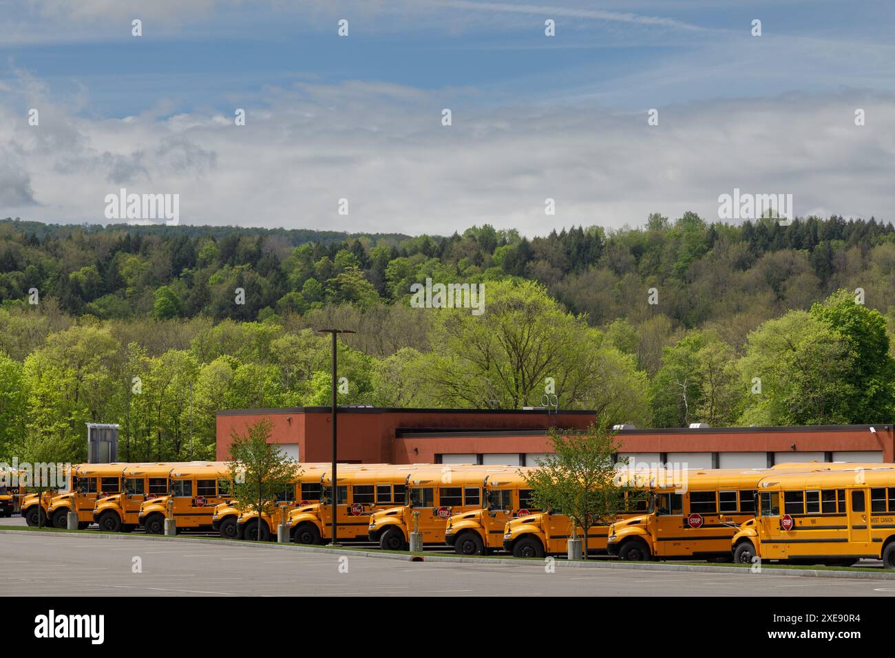 Schulbusse reihten an einer ländlichen High School im Herkimer County, New York State, USA. Stockfoto