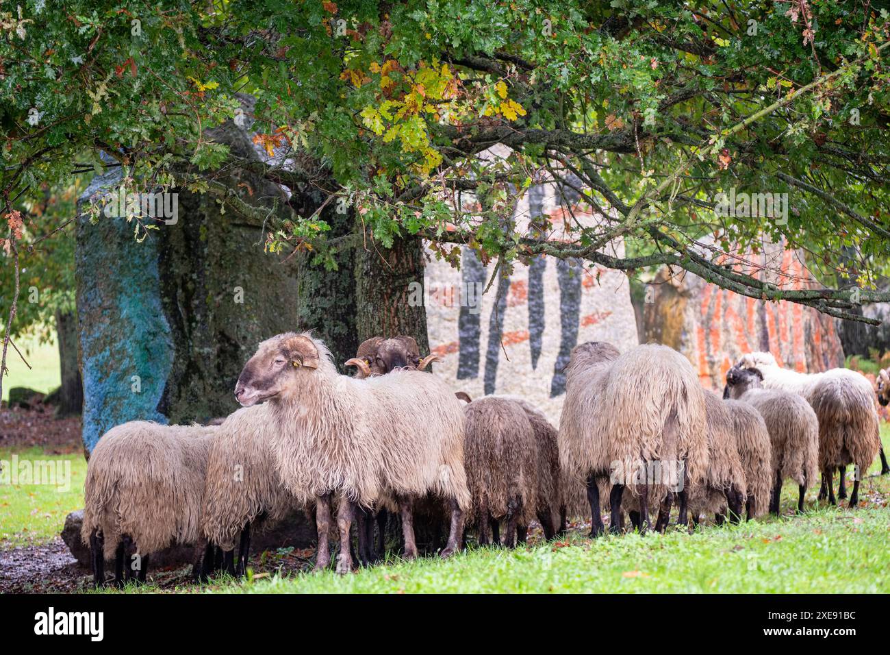 O Rexo Ecospace Stockfoto
