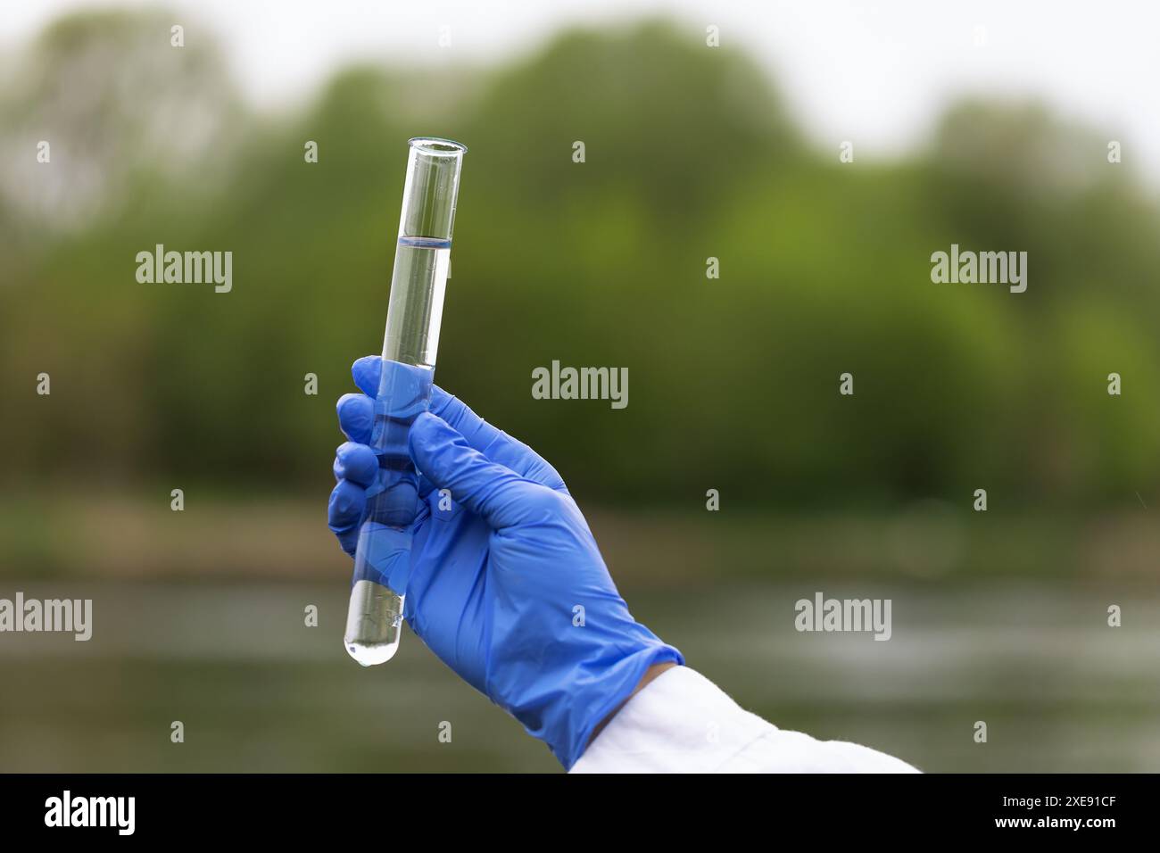 Nahaufnahme einer Hand in einem blauen Handschuh, die ein Glasröhrchen mit Flusswasserproben zur Analyse hält, ein Konzept zum Thema Wasserqualitätsprüfung Stockfoto