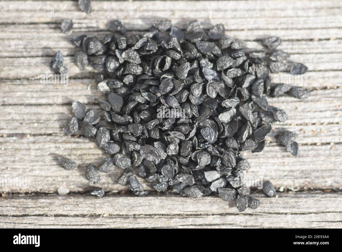 Allium Tuberosum, Knoblauch-Schnittlauch Stockfoto