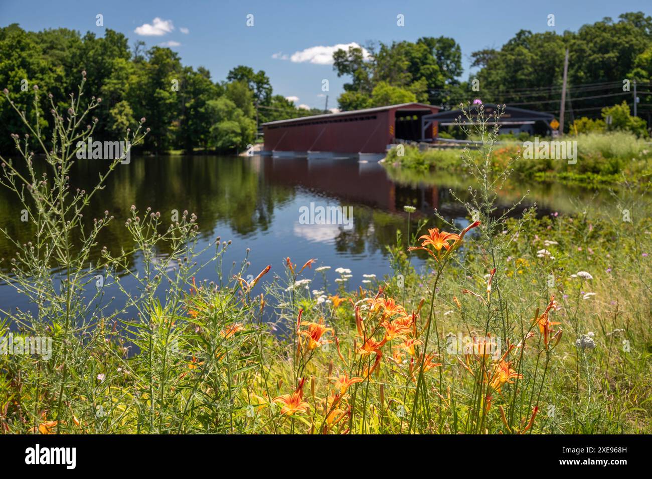 Centreville, Michigan – Orange Taglilien wachsen in der Nähe der Langley Covered Bridge, erbaut 1887. Seine 282 Meter lange Länge (in drei 94 Meter Spannweite) macht es aus Stockfoto