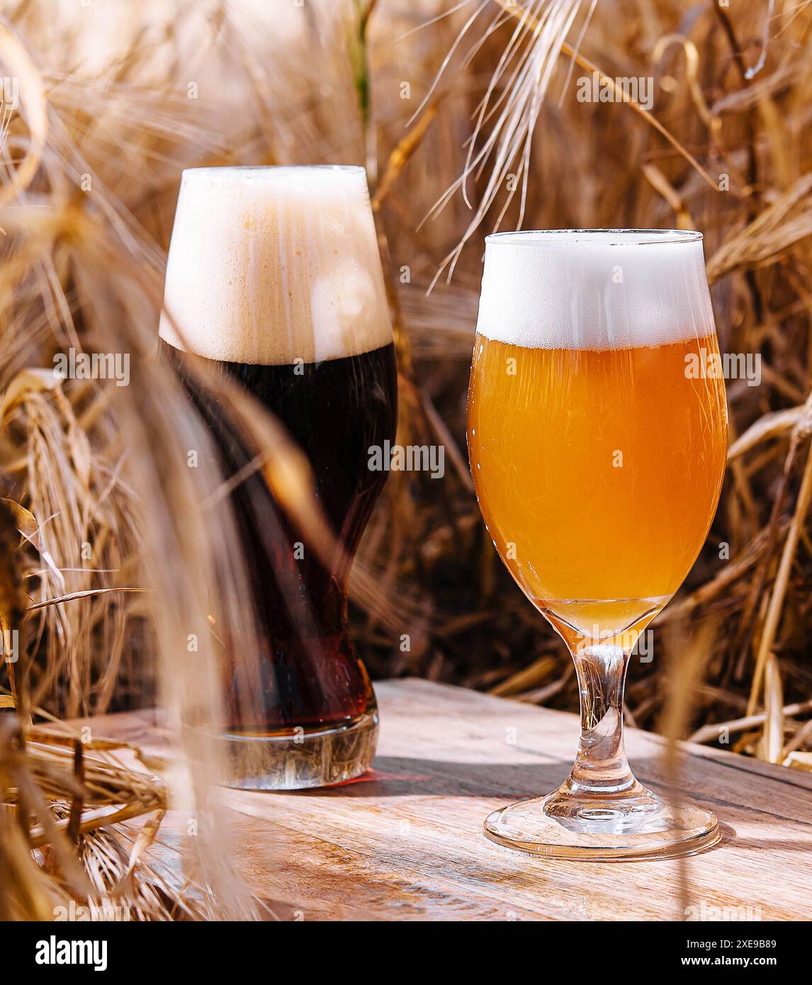 Ungefilterte und dunkle Gläser Bier auf einem Weizenfeld Stockfoto