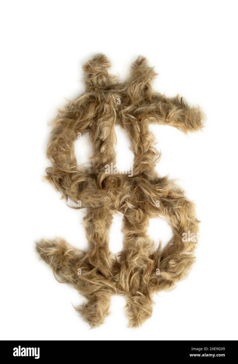 Kreative Typografie aus echtem Hundehaar. Blondes Haar auf weißem Hintergrund Hunde, Katzen, Haustiere, Monster und andere Pelztiere. Vollständiges Alphabet. Tun Stockfoto