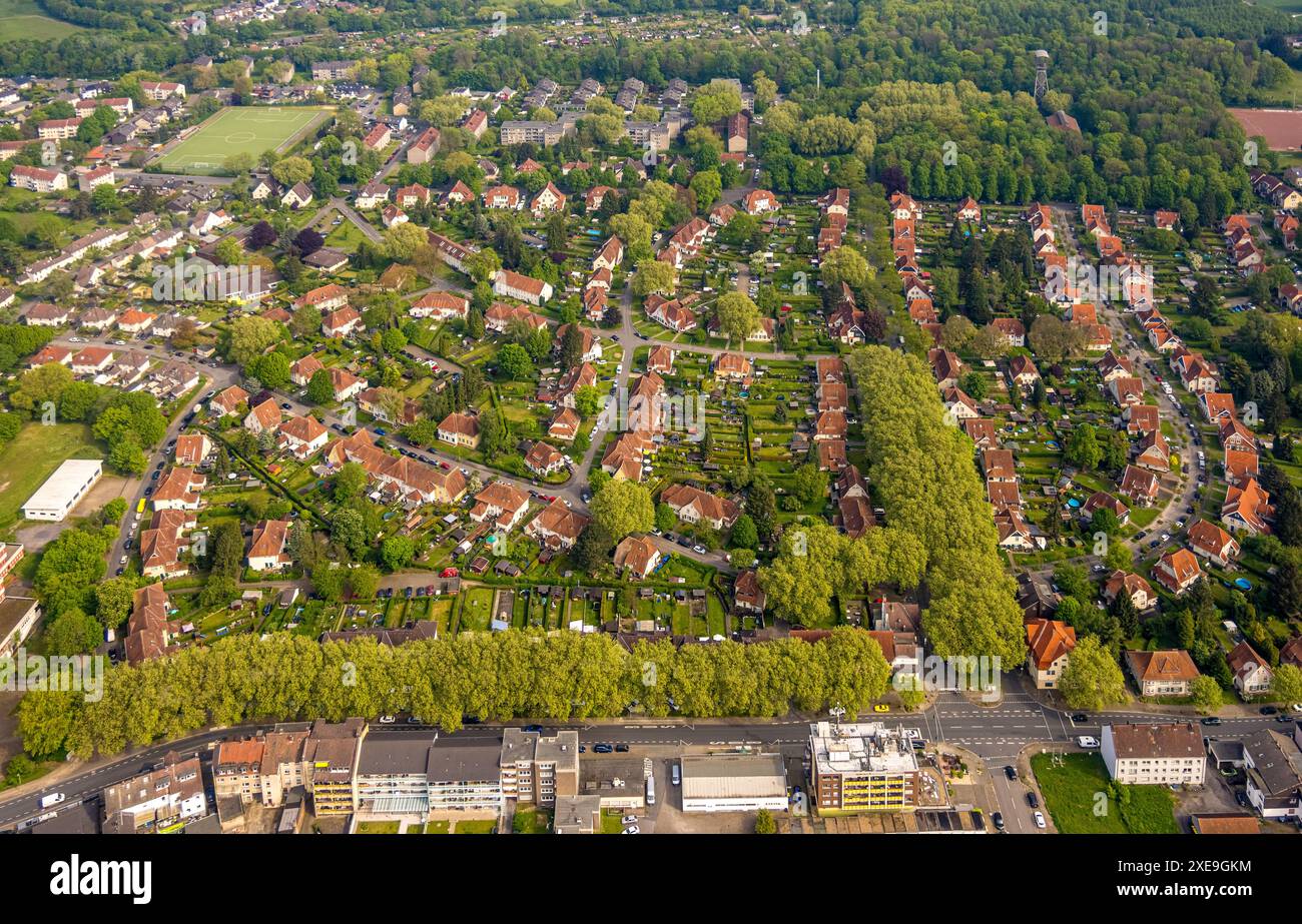 Blick aus der Vogelperspektive, Grubensiedlung Teutoburgia oder Gartenstadt Teutoburgia mit roten Dächern und baumgesäumter Allee, denkmalgeschütztes Gebäude, Börnig, Herne, Ruhr Stockfoto