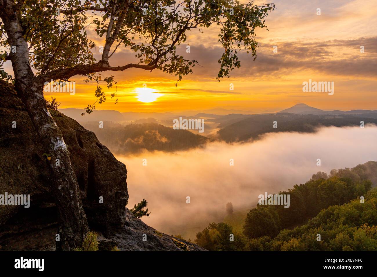 Fotos des Nationalparks Sächsische Schweiz aus dem Elbsandsteingebirge Stockfoto