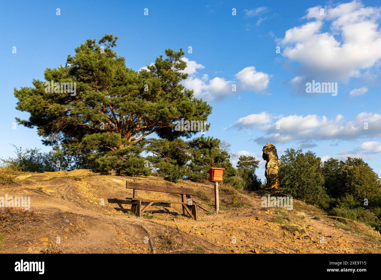 Bilder des Landkreises Harz Landschaften Teufelsmauer bei Westerhausen Stockfoto