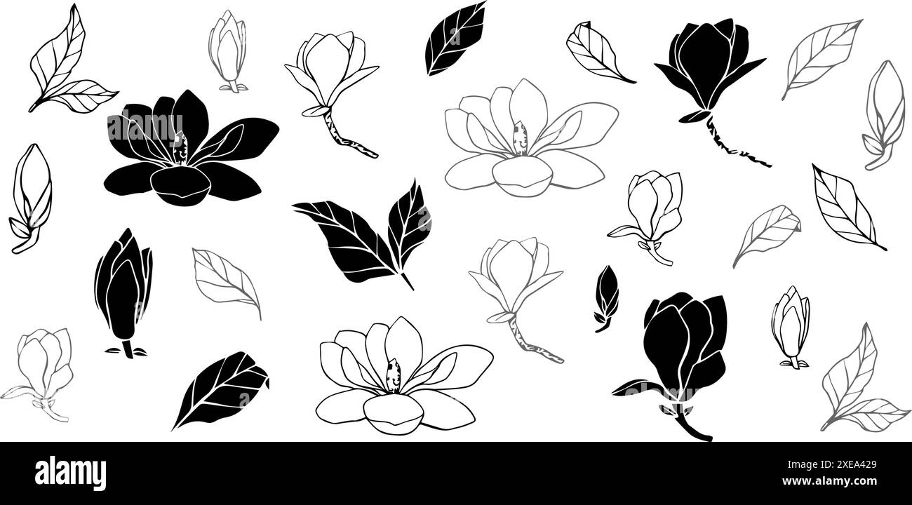 Hand gezeichnete Vektor Magnolienblume, Satz der Kontur Umrissillustration. Isoliertes Blumenelement. Blütenknospen verschiedener Formen. Abbildung für Stock Vektor