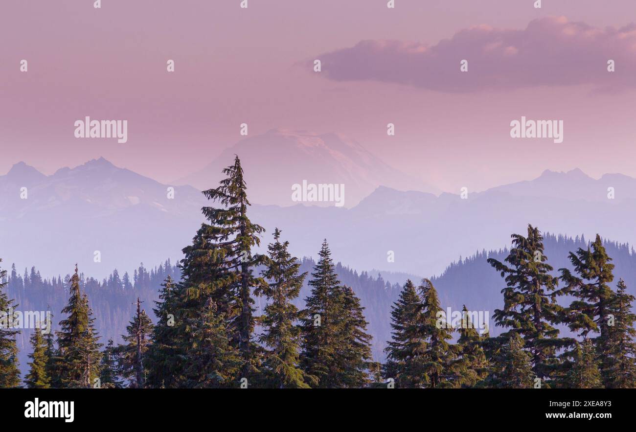 Der Mount Adams ist ein 3743 m hoher Stratovulkan in den Kaskadengebirgen und der zweithöchste Berg im Nordwesten der USA Stockfoto
