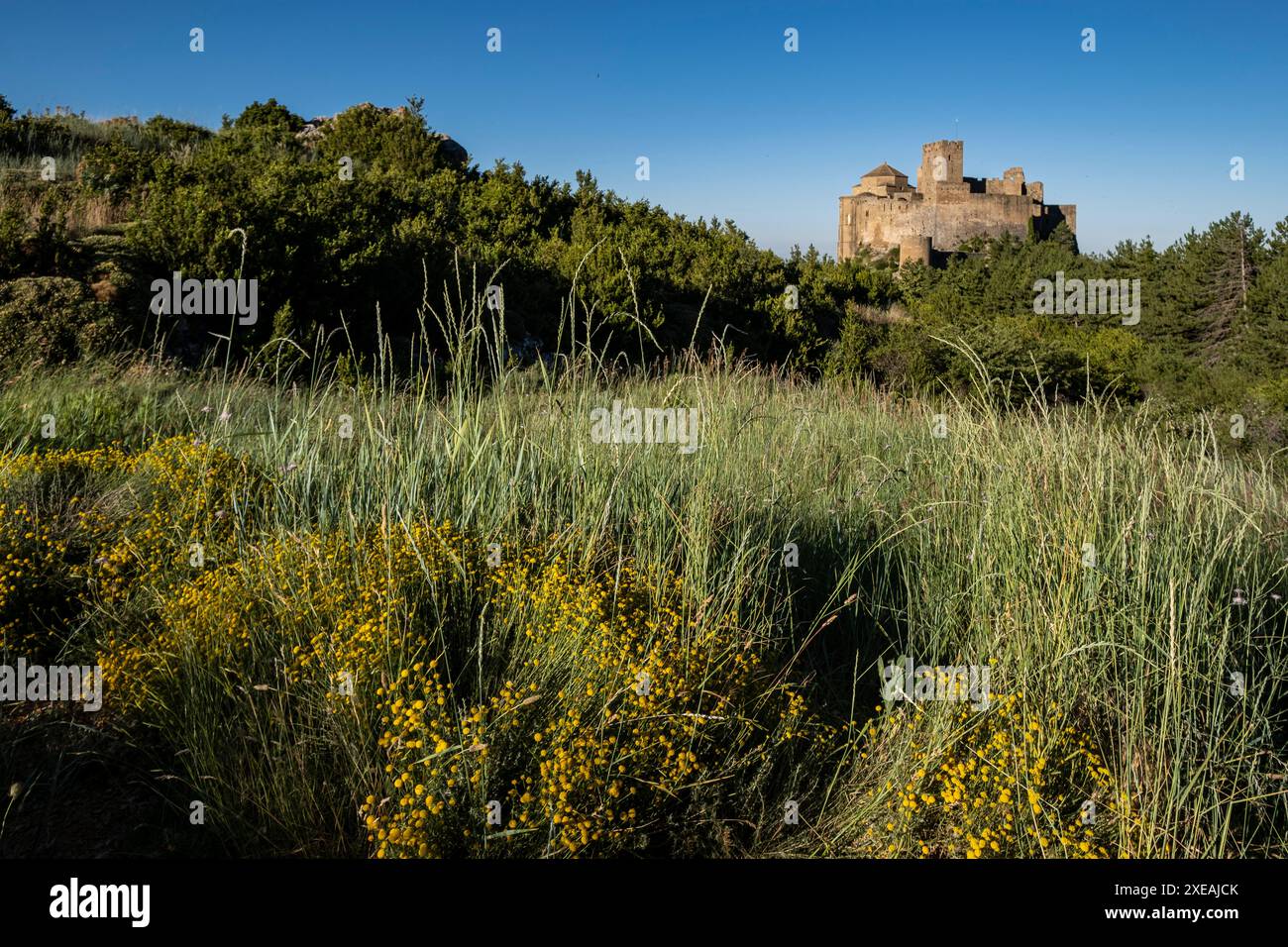 Schloss Loarre Stockfoto