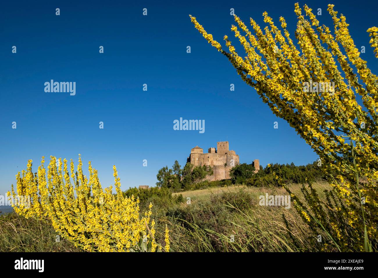 Schloss Loarre Stockfoto