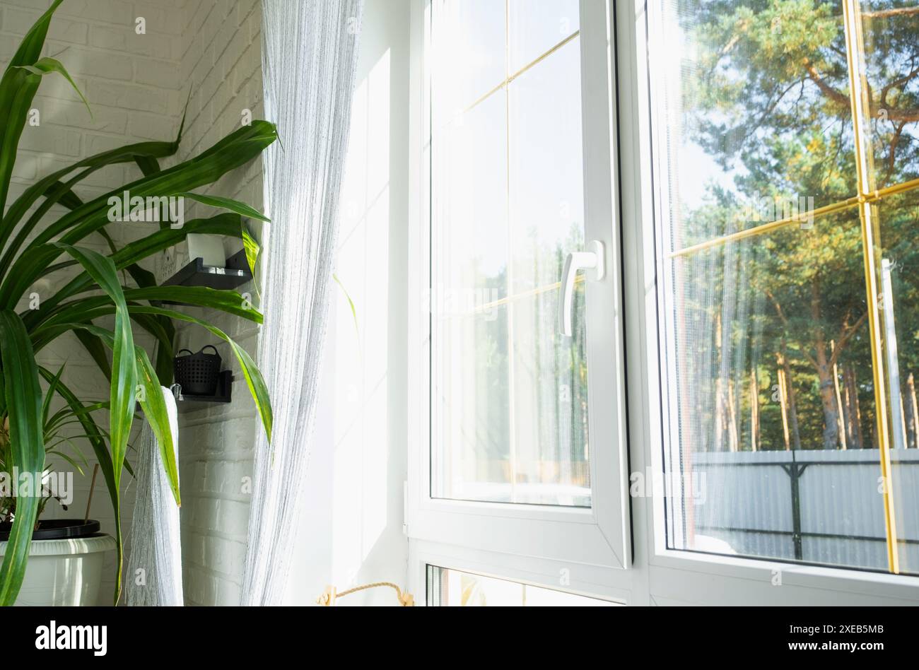 Fenster von innen aus Kunststoff doppelt verglaste Fenster mit Blick auf den sonnigen Wald - Innensalon mit Topfpflanzen, Stockfoto