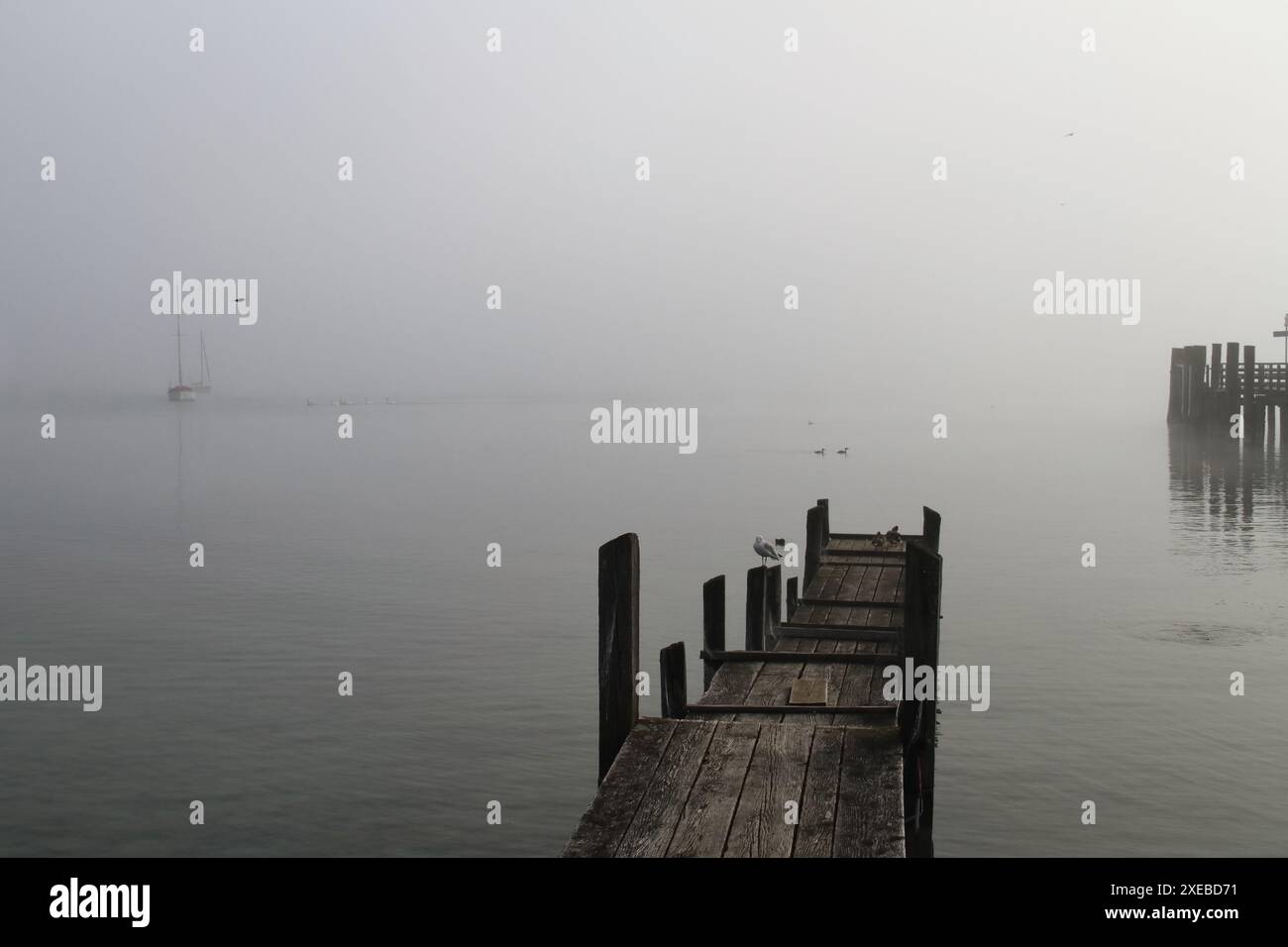 Hölzerne Bootsanlegestelle mit der Morgensonne im Nebel Stockfoto