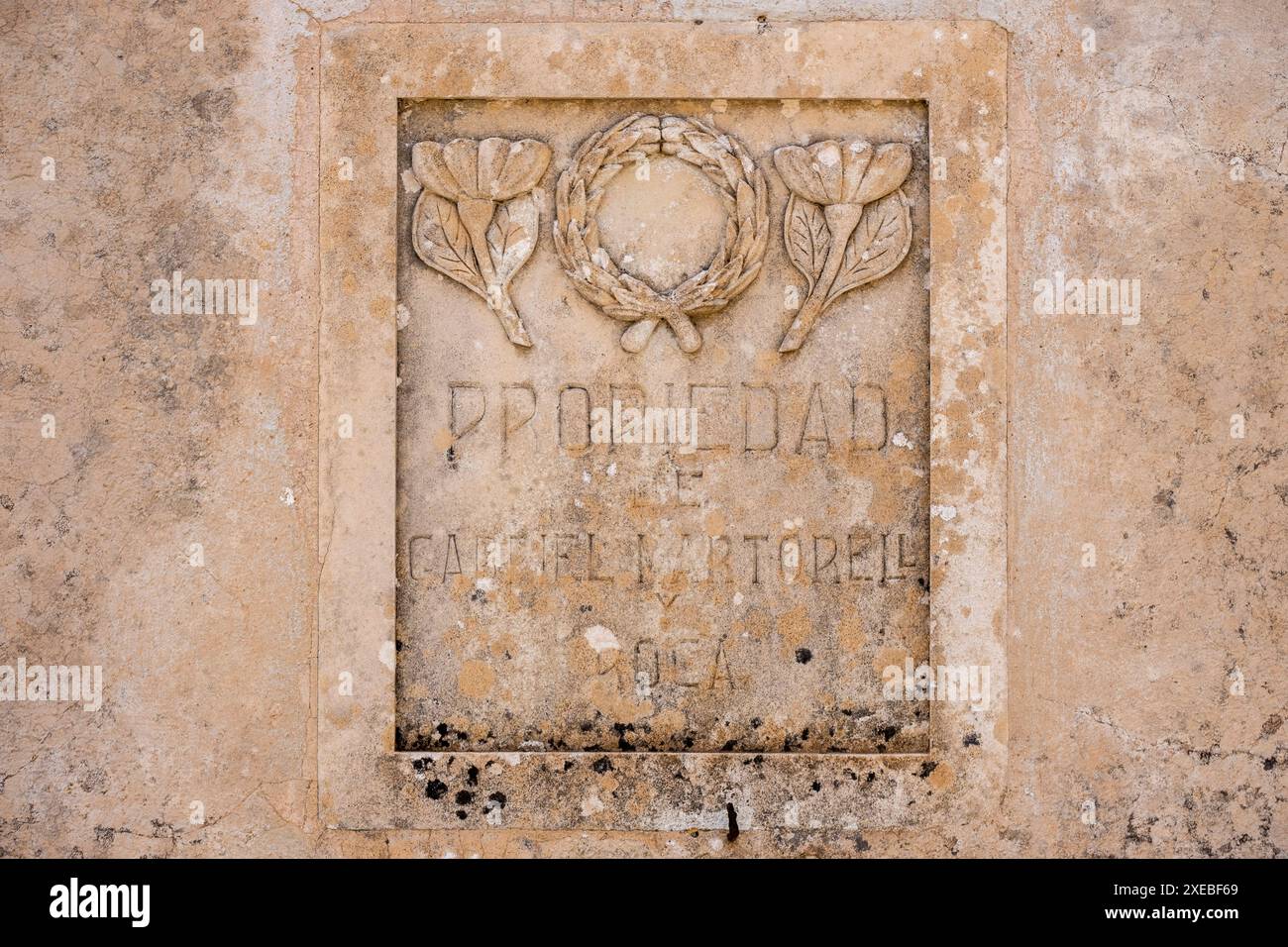 Mohn- und Kronensymbole Stockfoto