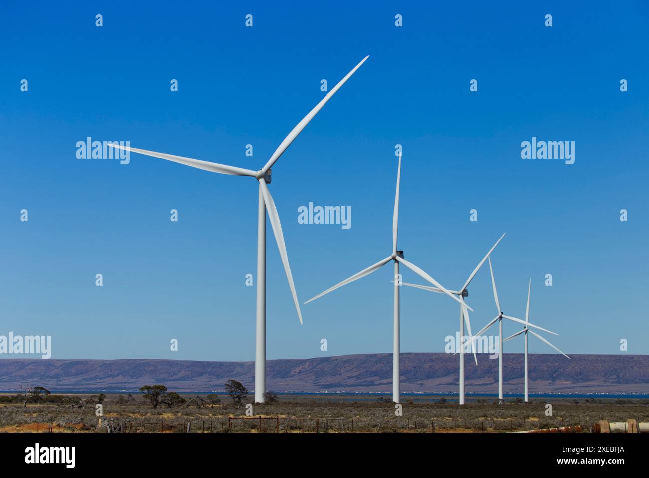 Port Augusta Renewable Energy Park (PAREP) in South Australia. Ein klarer blauer Himmel umgibt ein Feld von Windturbinen und zeigt das Engagement der Region Stockfoto