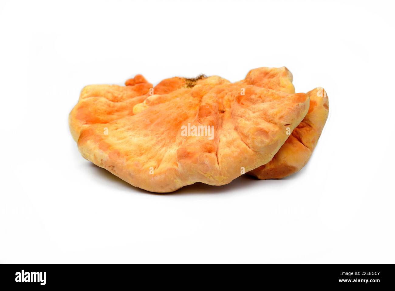 Schwefel Schelfpilz, Laetiporus sulfureus, oder Huhn der Hölzer isoliert auf weiß. Stockfoto