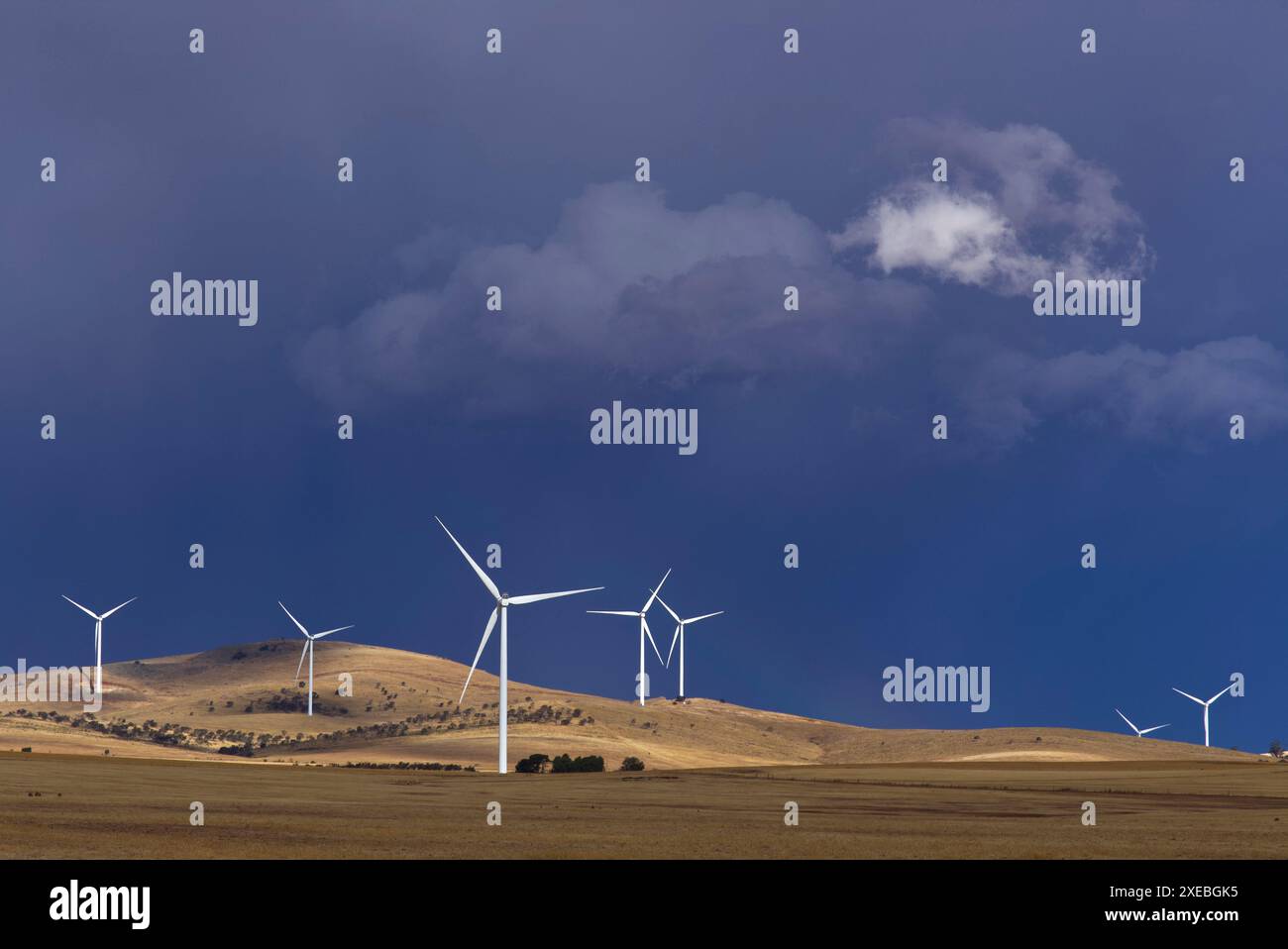 Thunder Storm sammelt sich über Windturbinen im Hornsdale Power Reserve in der Nähe von Jamestown South Australia Stockfoto