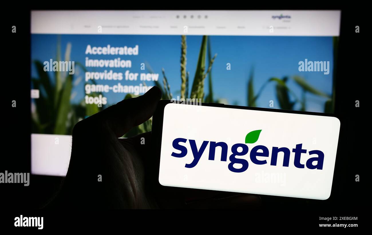 Person mit Smartphone mit Logo der Schweizer agritech-Firma Syngenta Crop Protection AG vor der Website. Schwerpunkt auf dem Display des Telefons. Stockfoto