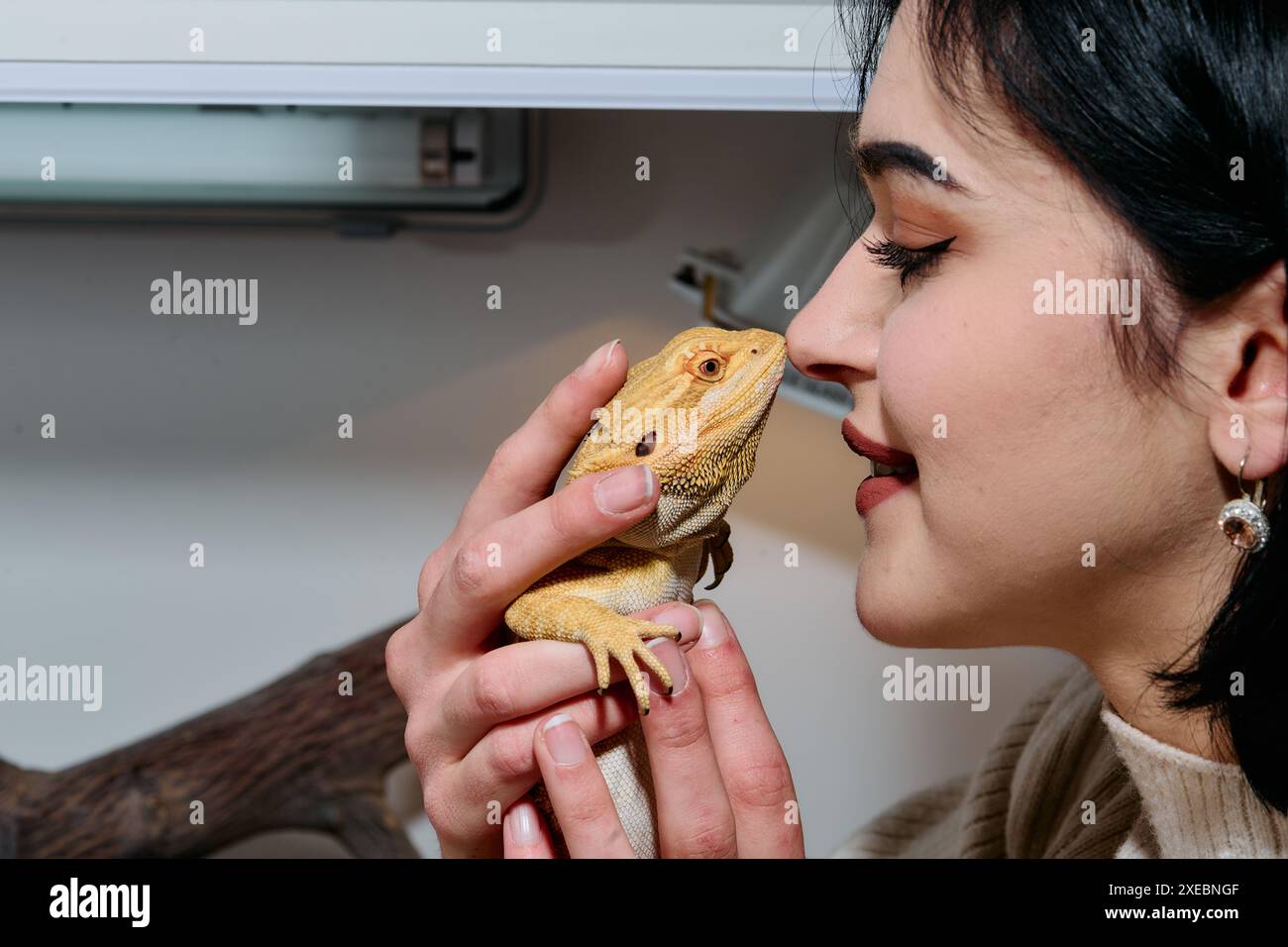 Schöne Frau, Die Bärtige Drachen-Haustiere Küsst Stockfoto