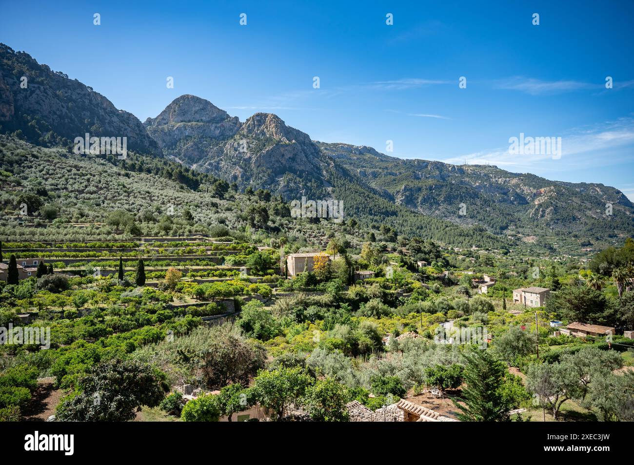 Serra de Tramuntana mit vielen Bäumen und einigen Häusern, Mallorca bei Fornalutx, Mallorca Stockfoto