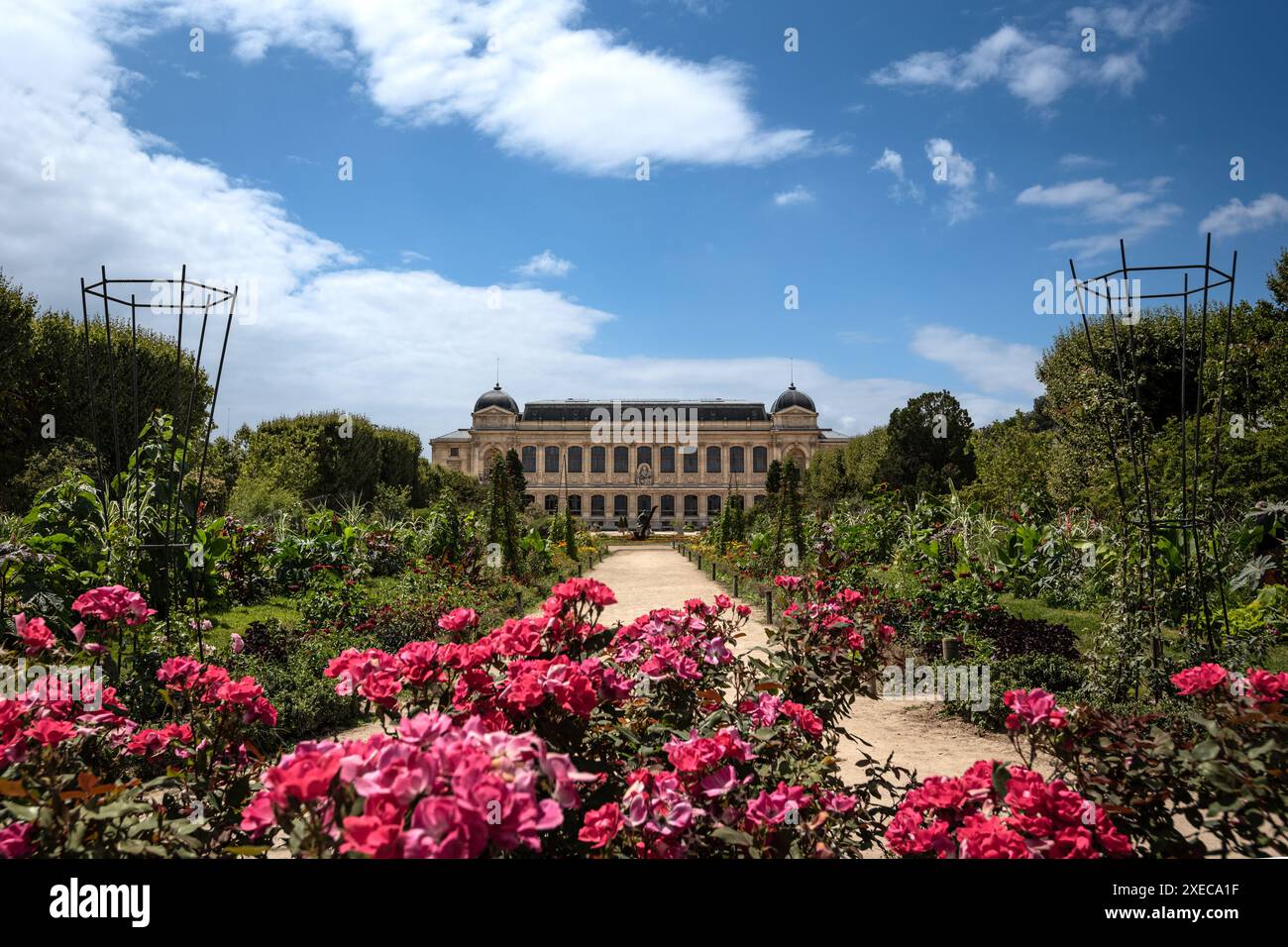 Blühender Weg am Jardin des Plantes zum Naturkundemuseum in Paris, Frankreich Stockfoto