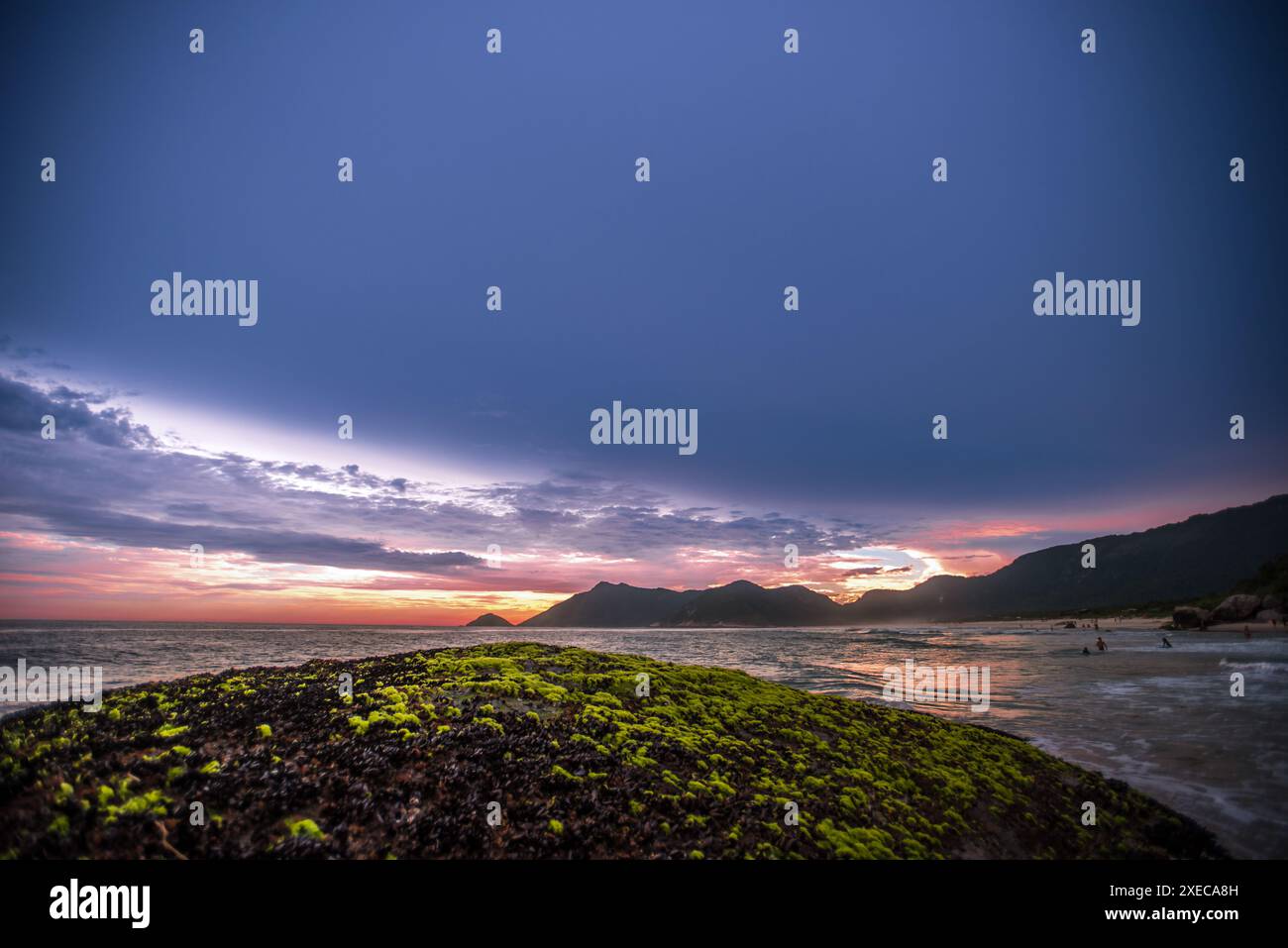 Moos Rock bei Sonnenuntergang am Grumari Beach - Rio de Janeiro, Brasilien Stockfoto