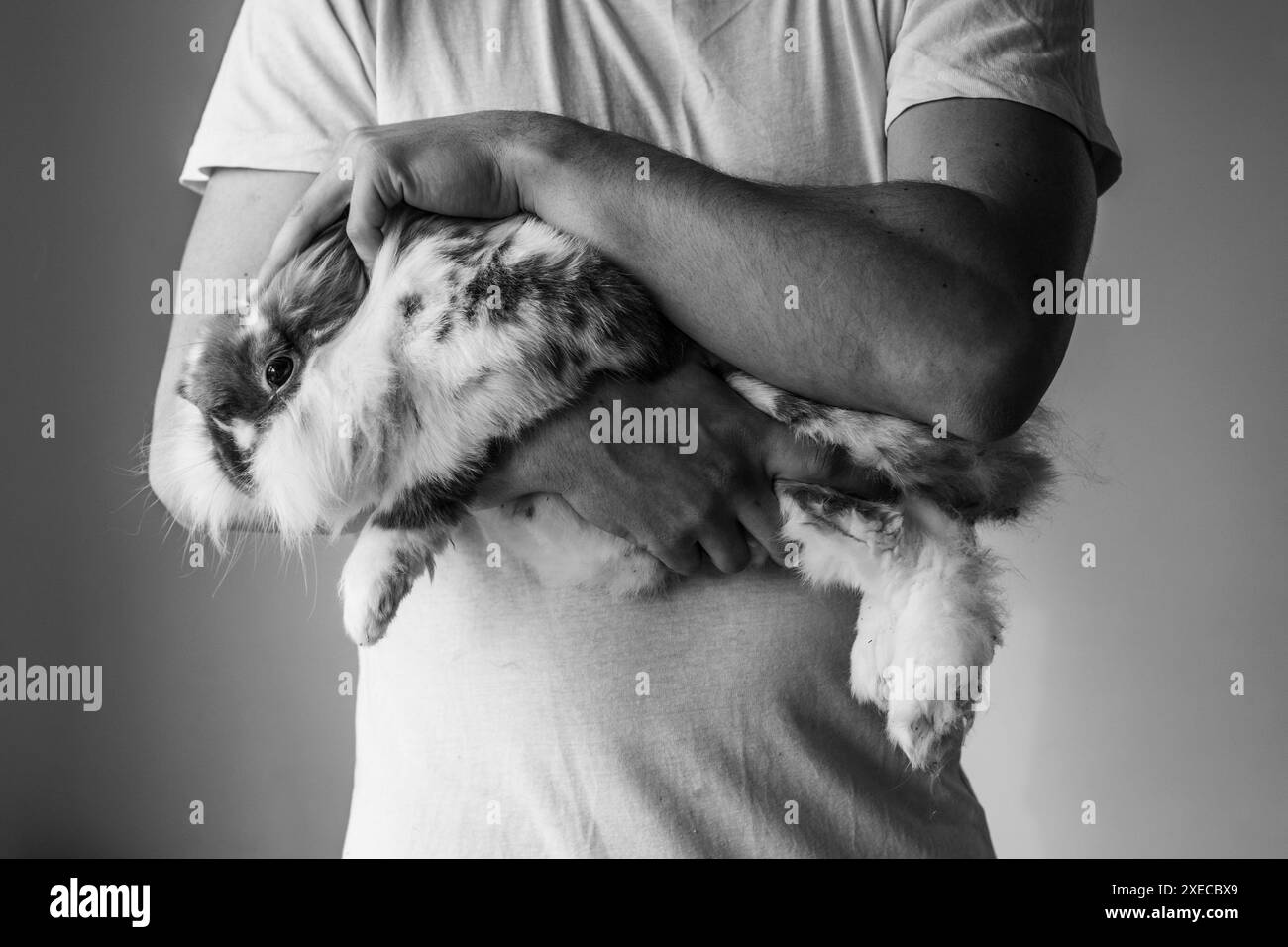Ein Mann hält einen Widder-Hasen, Schwarzweiß-Foto Stockfoto