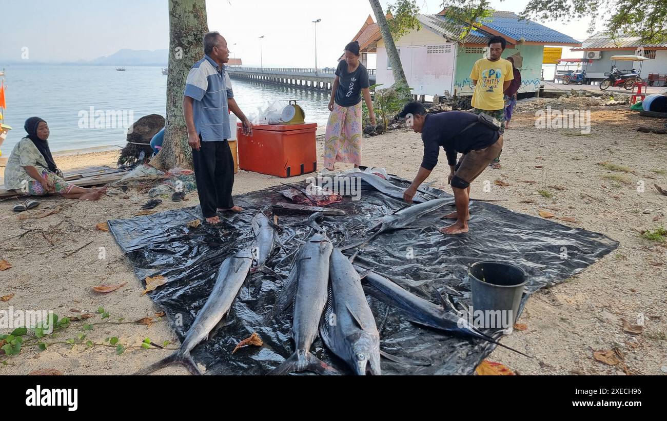 Eine vielfältige Gruppe von Menschen, die um eine bunte Auswahl an frisch gefangenem Fisch herumstehen, Preise aushandeln und über ihre Geldbörse diskutieren Stockfoto