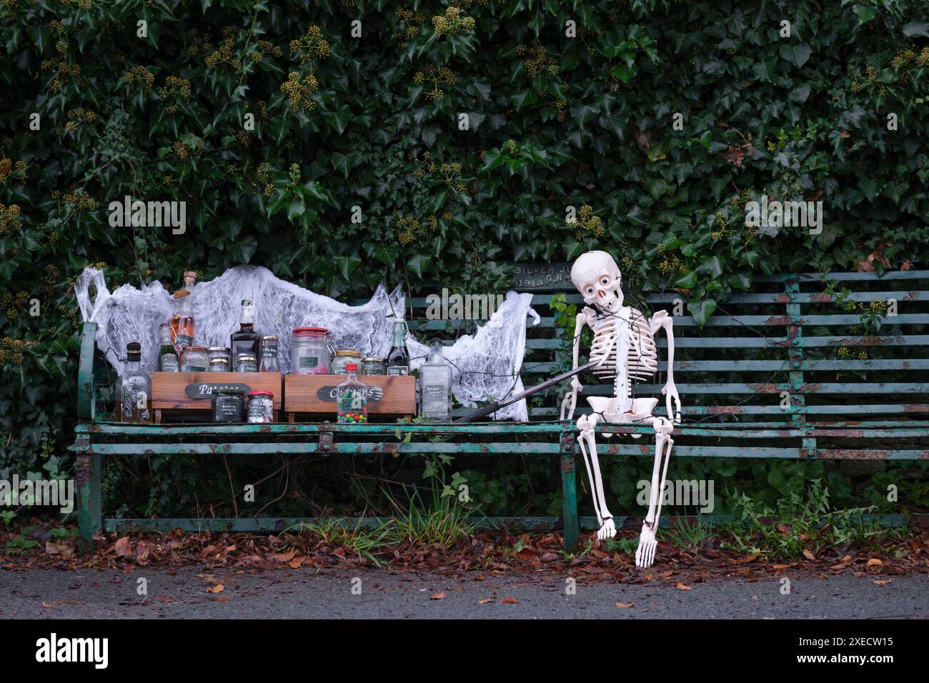 Ein Plastik-Skelett-Modell, das auf einer alten Bank sitzt, mit schrecklichen Gruselgeschenken, bereit für Haloween. Stockfoto