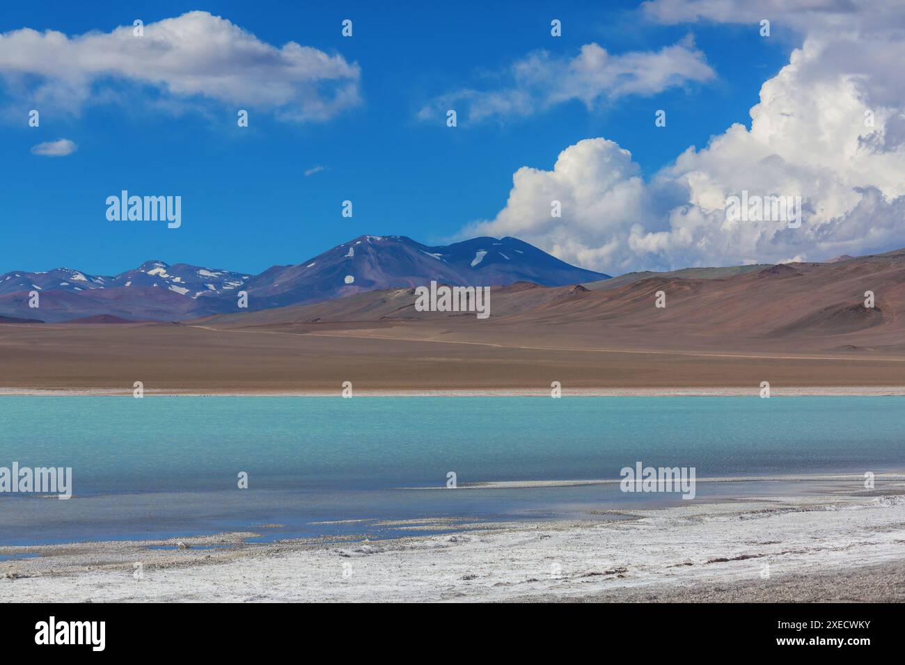 Nördliches Argentinien Stockfoto