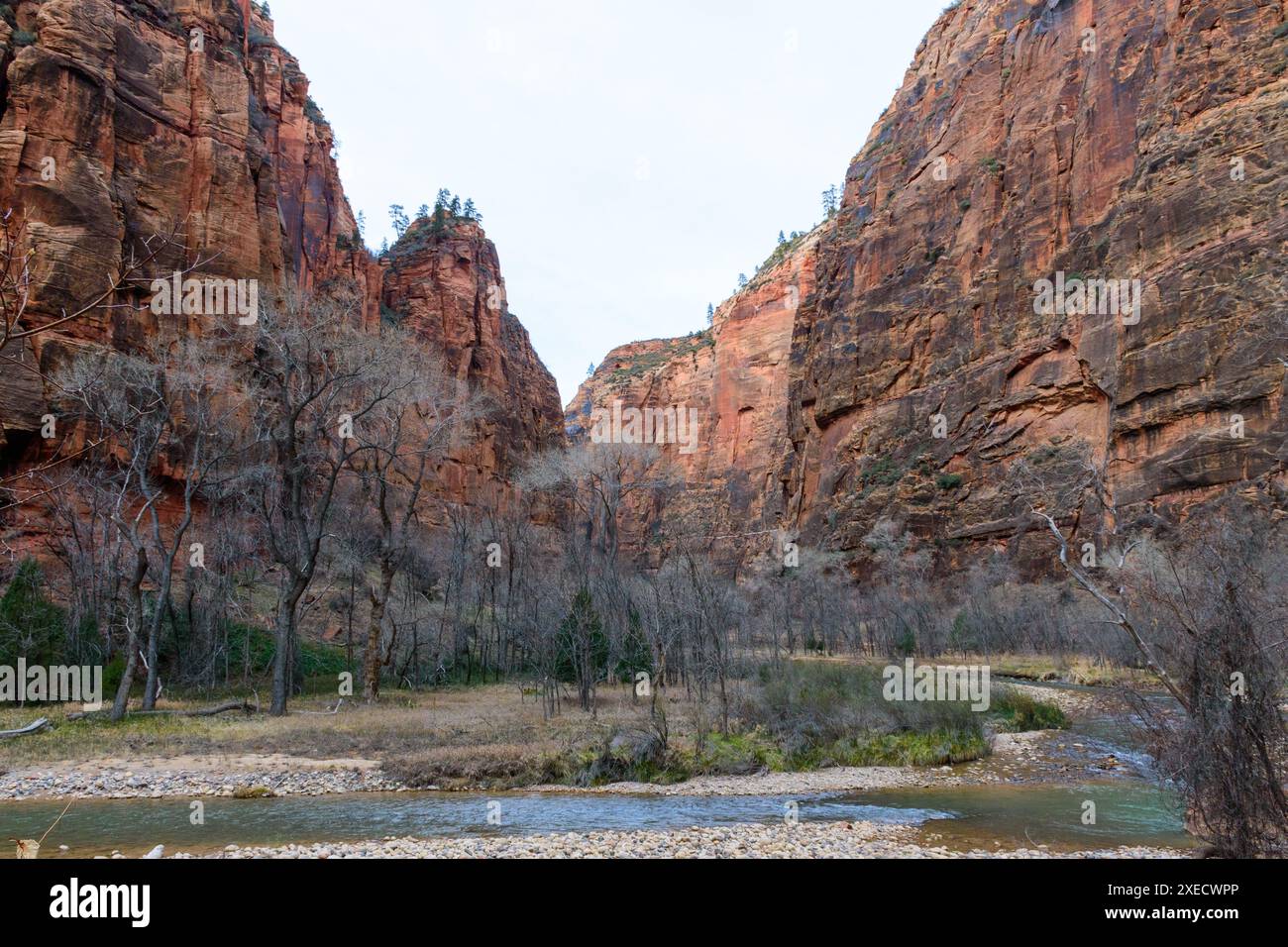 Atemberaubende Landschaft des ruhigen Virgin River im Zion Canyon mit den berühmten Narrows im Hintergrund. Die majestätischen Felsformationen sind zu sehen. Stockfoto