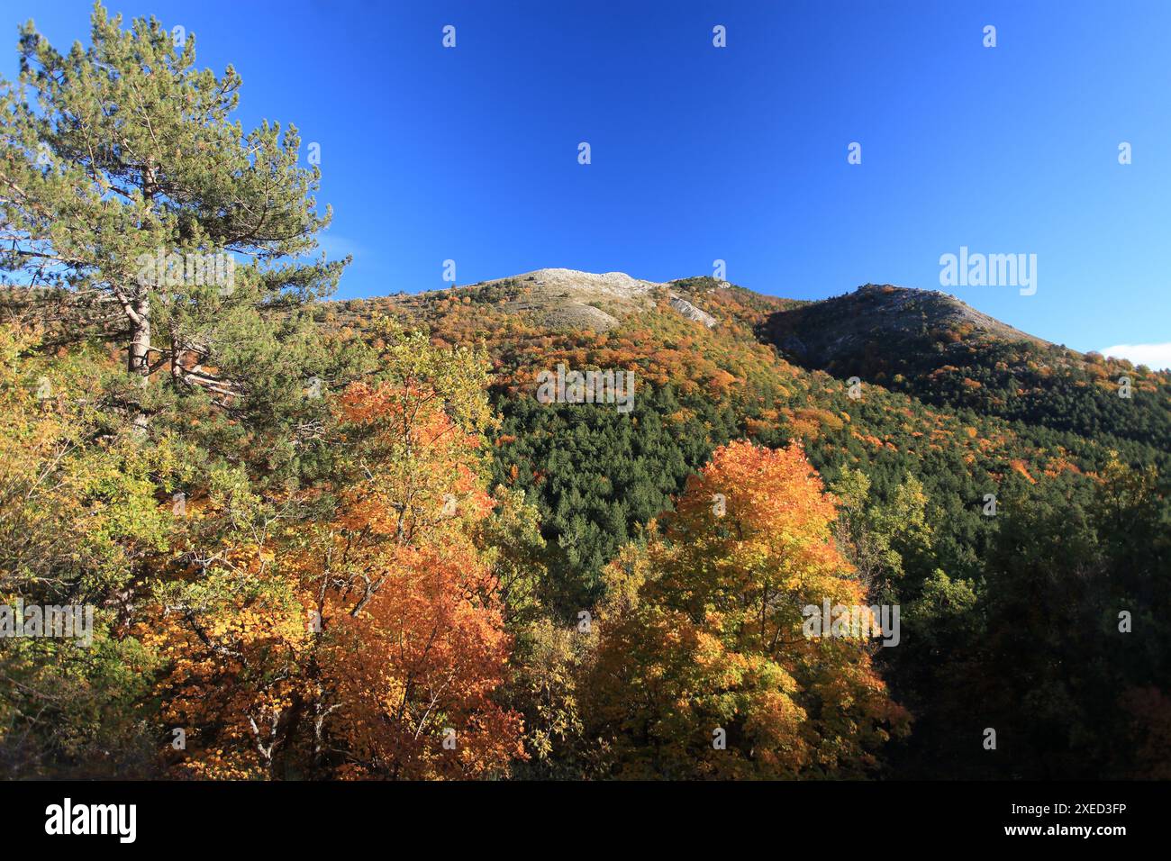 Automnal Landscape, Prealpes d'Azur, Alpes-Maritimes, 06, cote d'Azur, PACA Stockfoto