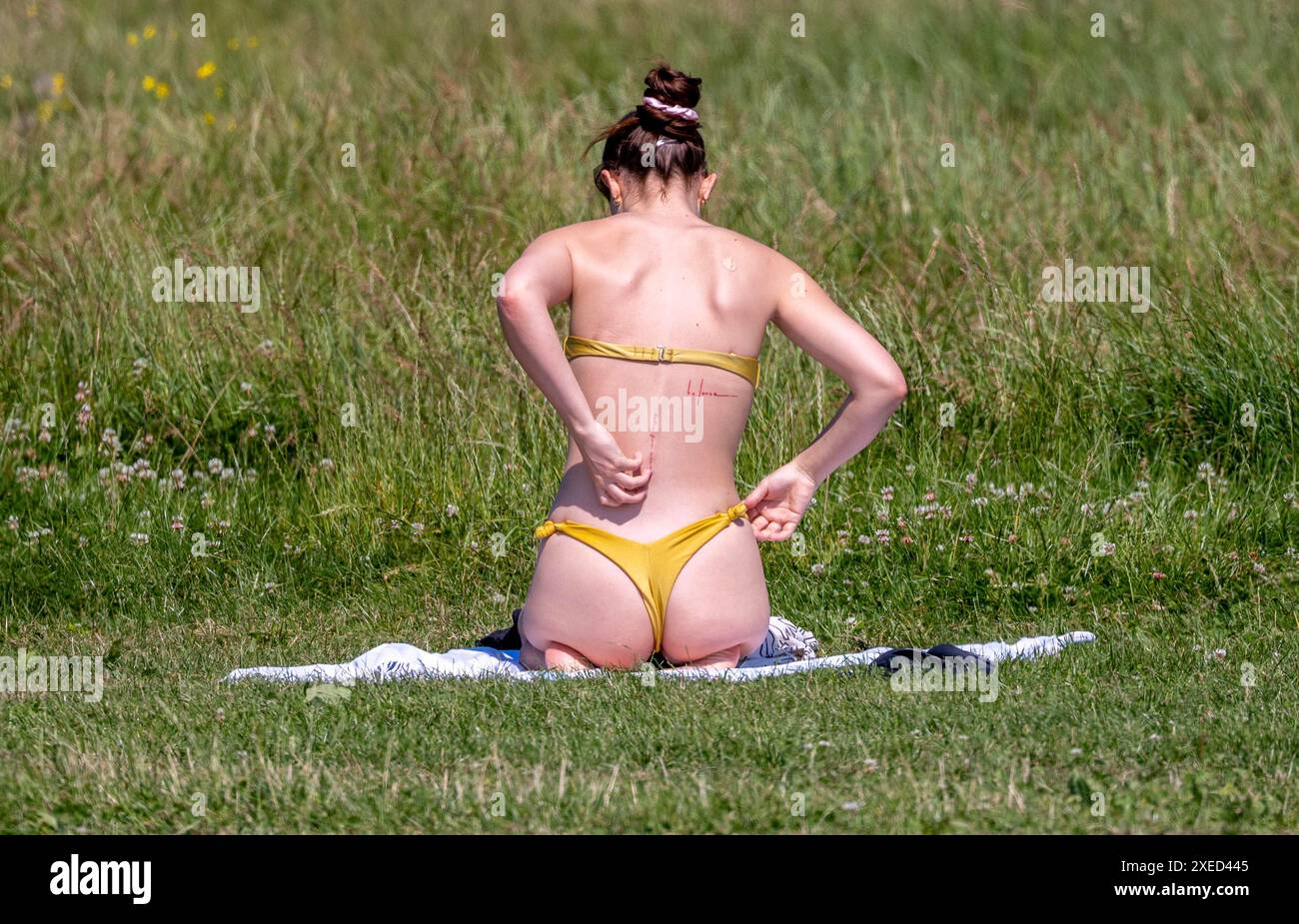 bild zeigt: Hampstead Heath Schwimmer in den Teichen und Sonnenanbeter auf dem Gras. Andere haben gerade ihre Strandkörper für die Kameras gezeigt Stockfoto