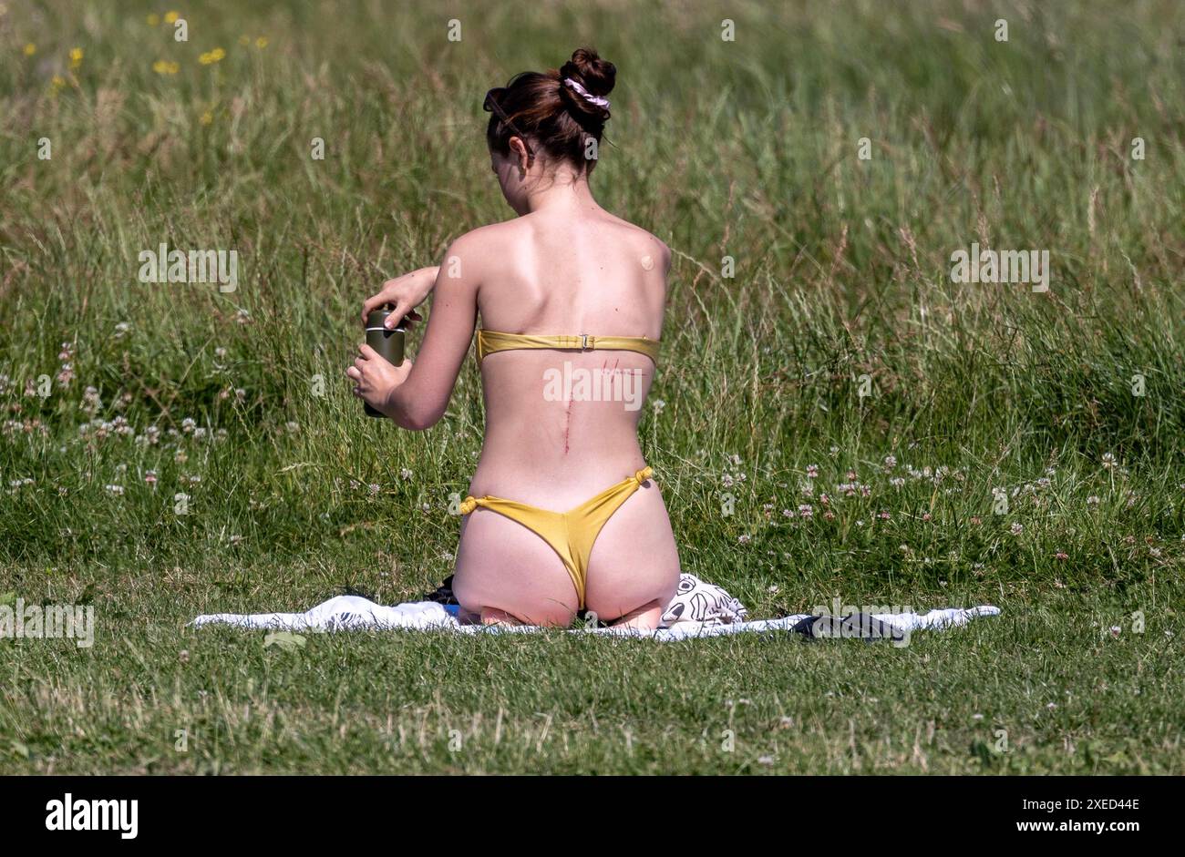 bild zeigt: Hampstead Heath Schwimmer in den Teichen und Sonnenanbeter auf dem Gras. Andere haben gerade ihre Strandkörper für die Kameras gezeigt Stockfoto