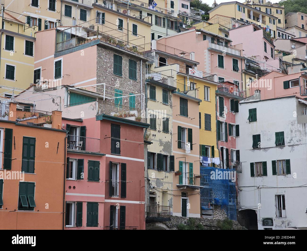 Bunte Häuser in Riomaggiore füllen den gesamten Bilderrahmen. Vertikales Foto. Stockfoto
