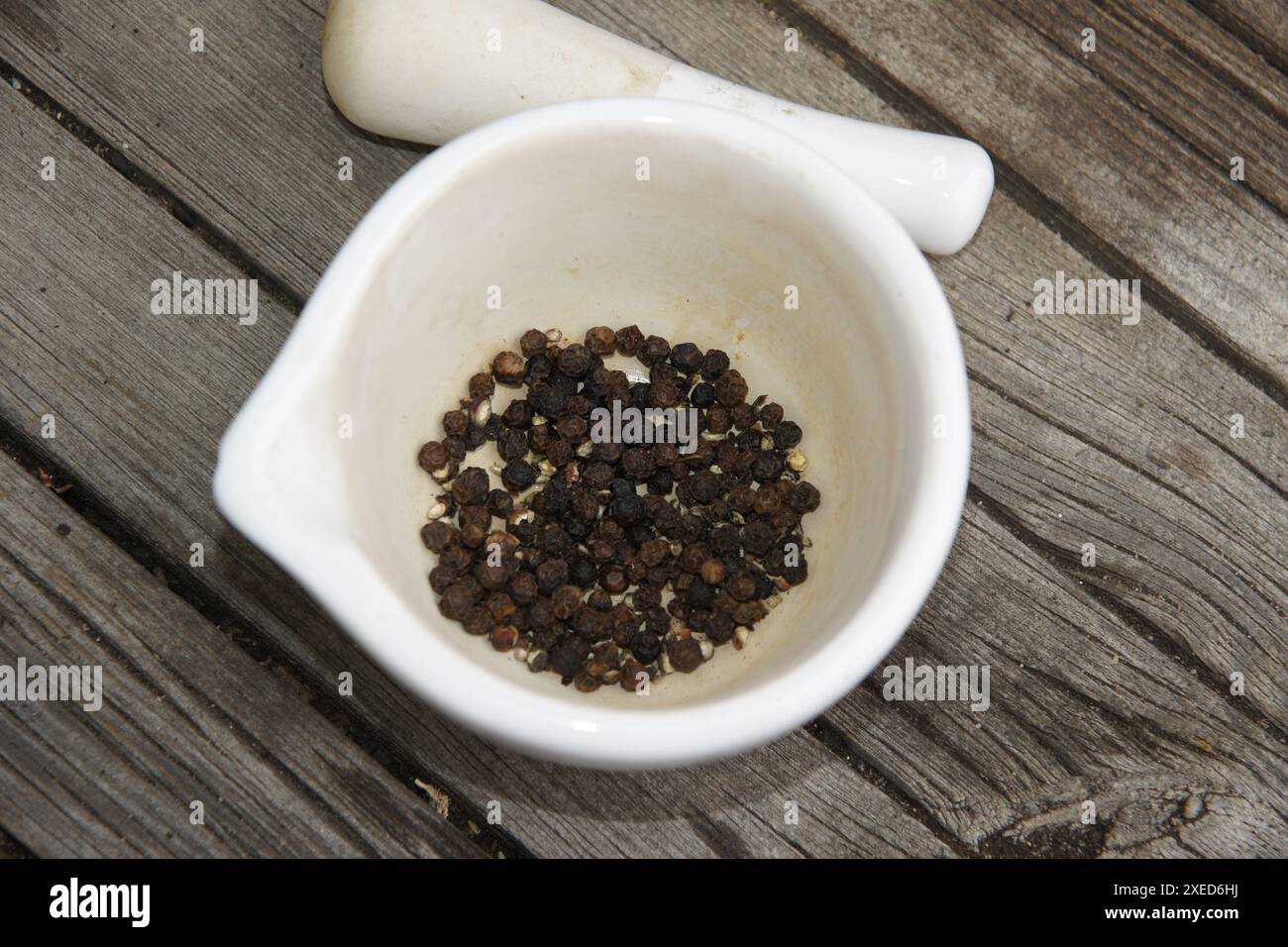 Piper Nigrum, schwarzer Pfeffer Stockfoto