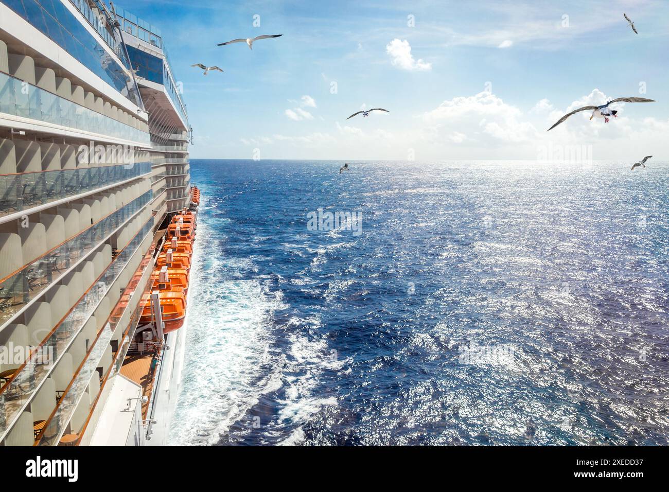 Blick auf das Meer von einem Kreuzfahrtdeck an einem hellen Tag mit Möwen Stockfoto