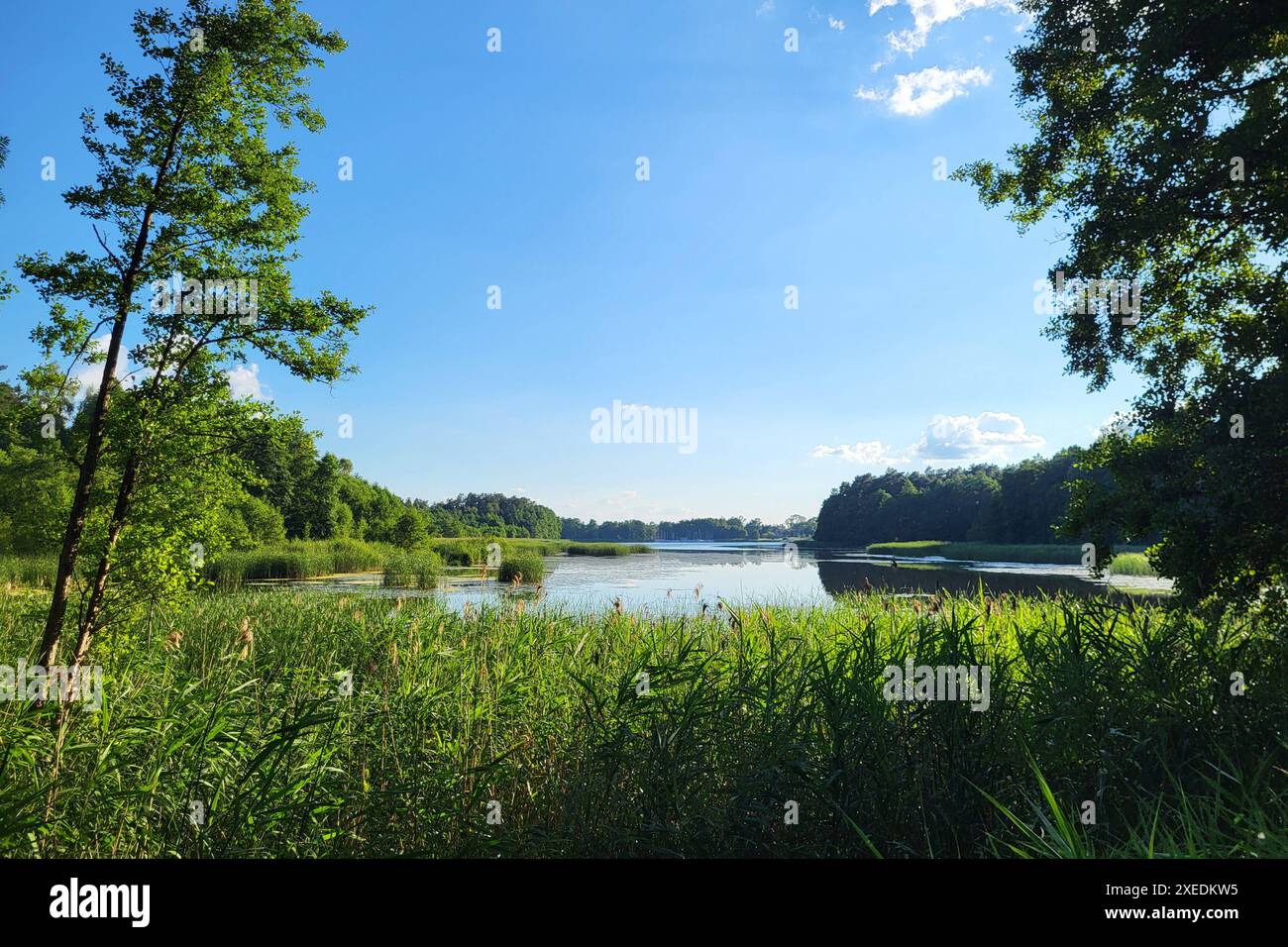 Mikolajki Themenfoto: Polen, Masuren, Natur, Landschaft, See, 26.06.2024 die Seenlandschaft in den polnischen Mazuren ist urprünglich und reizvoll Themenfoto: Polen, Masuren, Natur, Landschaft, See, 26.06.2024 *** Mikolajki Themenfoto Polen, Mazury, Natur, Landschaft, See, 26 06 2024 die Seenlandschaft in der Polnischen Mazury ist unberührte und charmante Themenfoto Polen, Mazury, Natur, Landschaft, See, 26 06 2024 Copyright: xAugstx/xEibner-Pressefotox EP jat Stockfoto