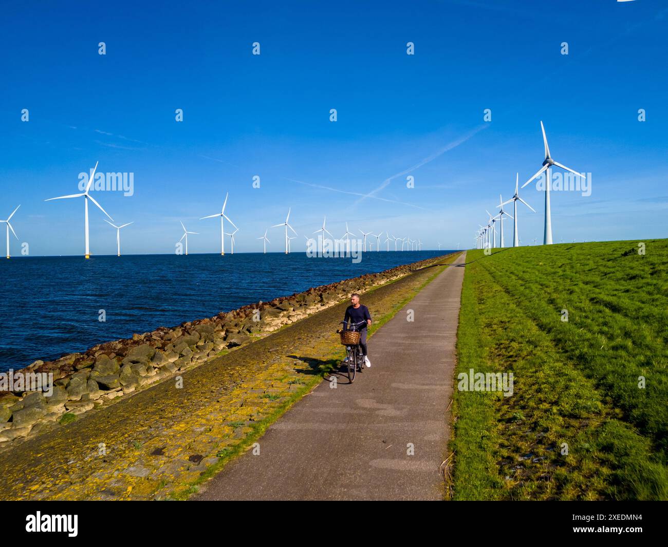 Radfahren entlang eines Weges am Ijsselmeer mit Windmühlenanlagen im Frühjahr Stockfoto