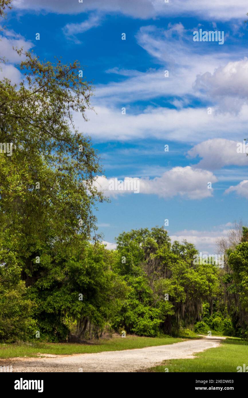 Blick vom Lake Apopka Loop Trail, Florida Stockfoto