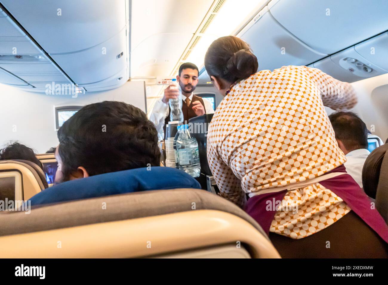 Zwei Flugbegleiter, männlicher Steward und weiblicher Stewardess servieren den Passagieren Getränke, die auf einem Stuhl in einer Flugzeugkabine der Boeing 787-10 Etihad sitzen Stockfoto