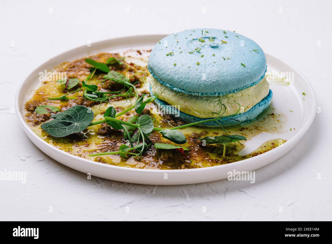 Molekulare Küche. Macarons mit Pastete auf weißer Platte Stockfoto