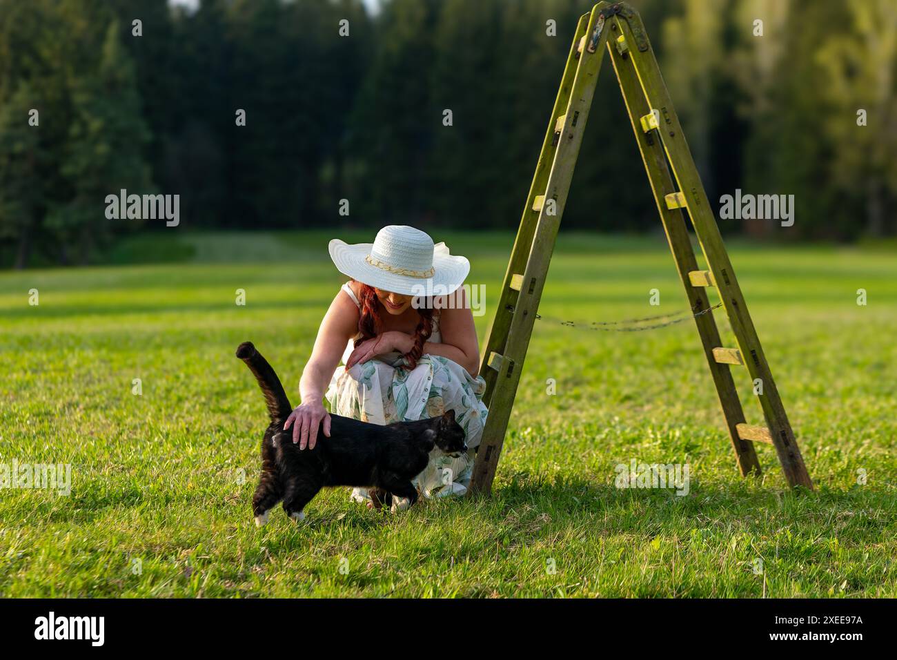 Frau auf einer Wiese mit einer Leiter, die eine Katze streichelt Stockfoto