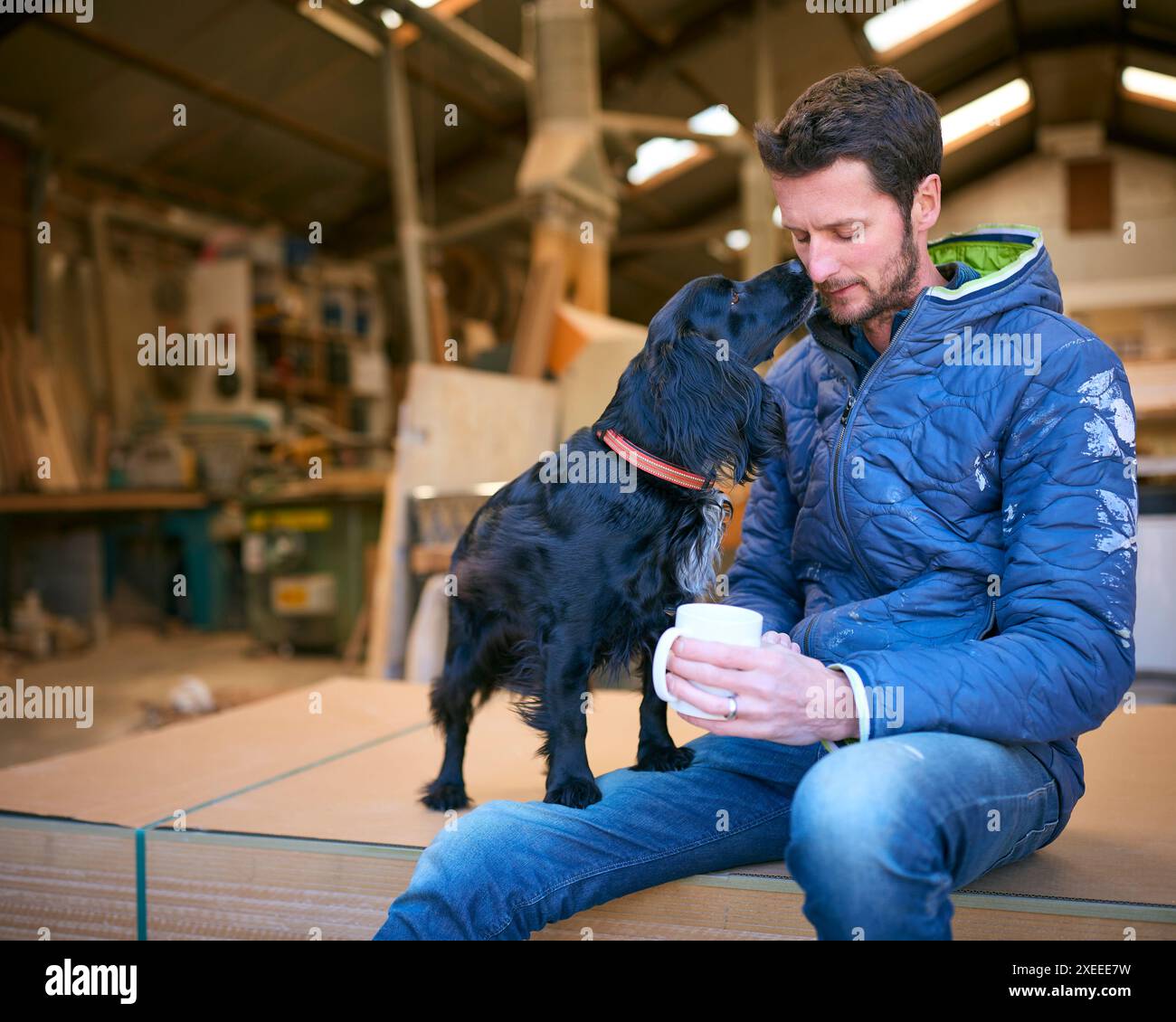 Zimmermann Arbeitet In Der Holzwerkstatt Mit Haustier Hund, Der In Der Kaffeepause Auf Das Handy Schaut Stockfoto
