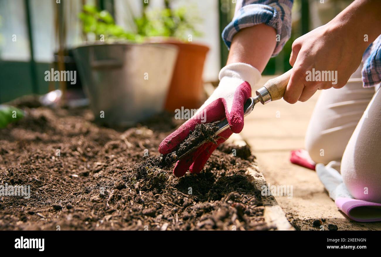 Nahaufnahme Von Frau Gardening In Gewächshäusern, Die Boden Für Das Anpflanzen Von Saatgut Vorbereiten Stockfoto