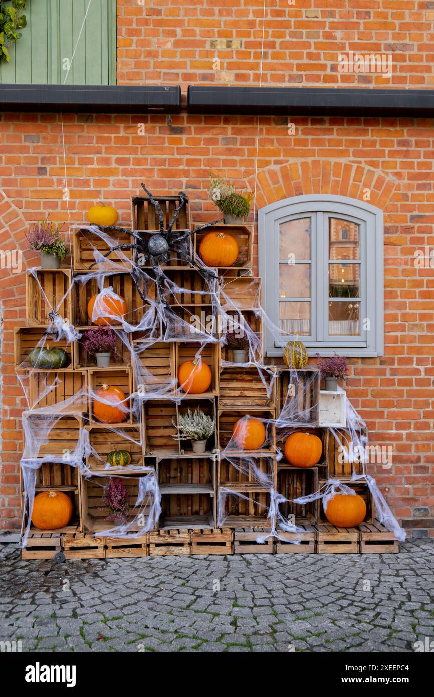 Halloween Herbst dekorierte Outdoor Café oder Restaurant Terrasse in Amerika oder Europa mit Kürbissen Herbst Blumen traditionelle Attrib Stockfoto